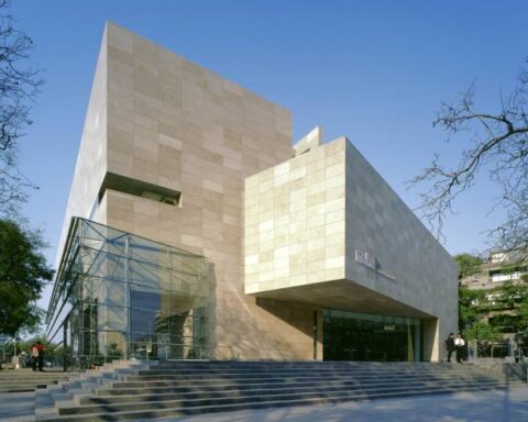 Buenos Aires Museum Expands Latin American Art Holdings with Major Purchase