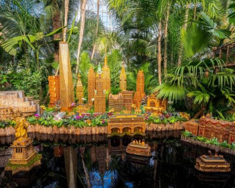 Exploring Art, Film, and Culture Through Different Lenses