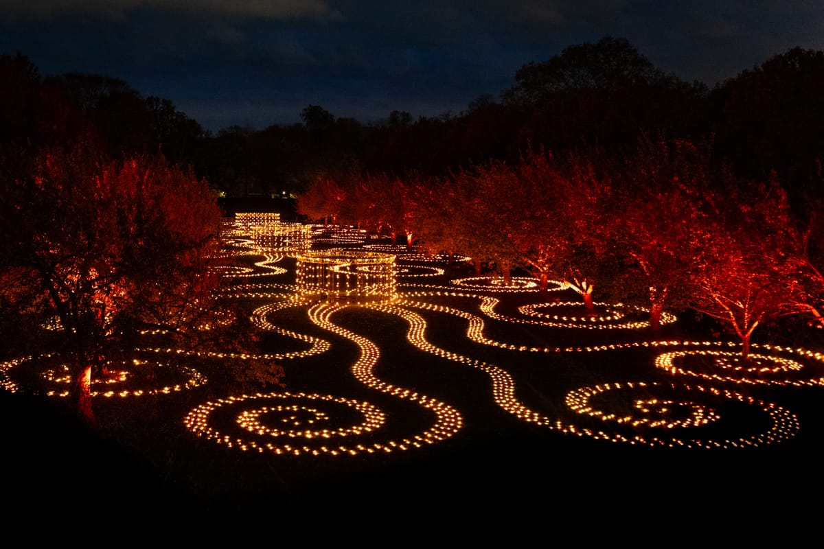 Artistic Insights: Santa's Tough Interview and a Potter Fan's Dilemma