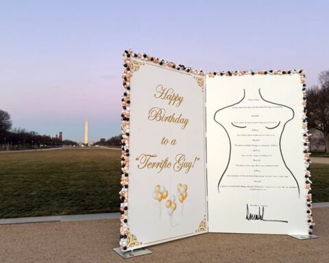 Satirical Artwork on National Mall Critiques Trump-Epstein Connection