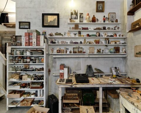 Wes Anderson Revives Joseph Cornell’s Creative Haven