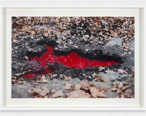 Unveiling Ana Mendieta’s Earthly Imprints