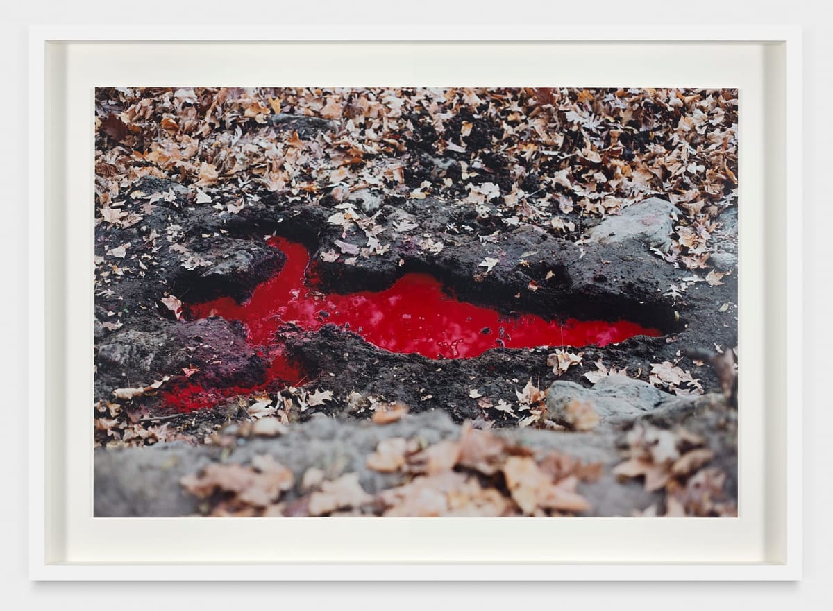 Unveiling Ana Mendieta’s Earthly Imprints