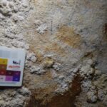 Ancient Handprint in Indonesia Could Be Earliest Rock Art