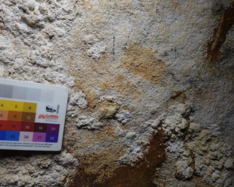 Ancient Handprint in Indonesia Could Be Earliest Rock Art