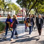 IDSVA Offers Innovative Low-Residency PhD in Visual Arts and Theory