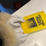 Lydia Eliza Trail Joins Condo London 2026