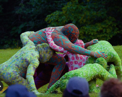 Joiri Minaya and the Artistic Exploration of Venus Flytrap