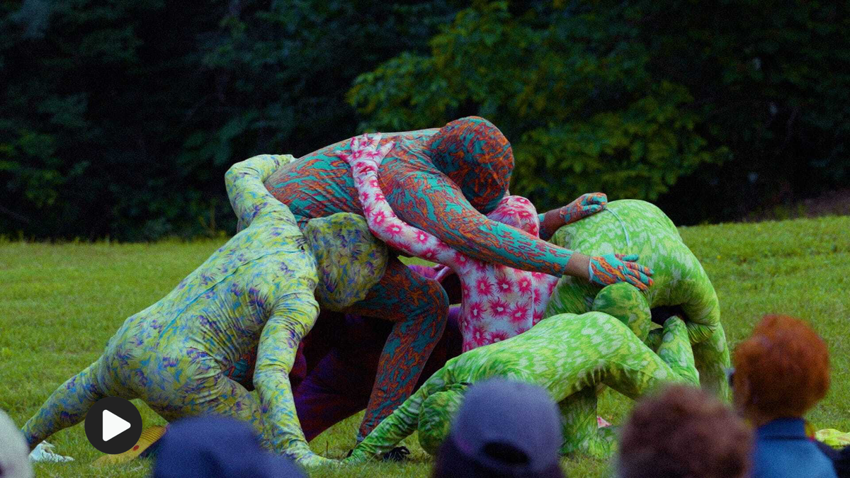 Joiri Minaya and the Artistic Exploration of Venus Flytrap