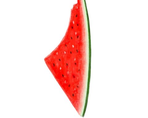 The Watermelon: A Powerful Emblem of Palestinian Defiance