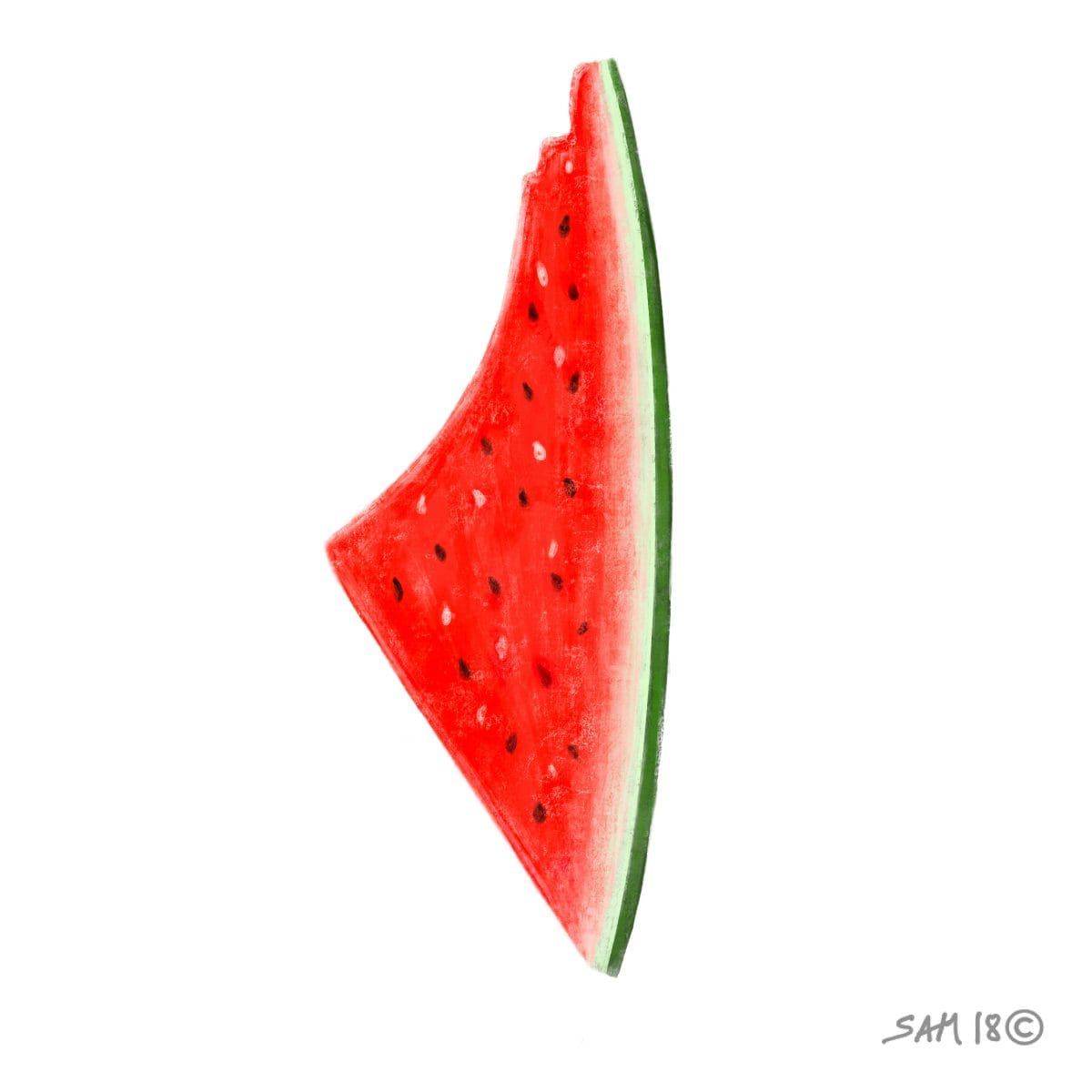 The Watermelon: A Powerful Emblem of Palestinian Defiance