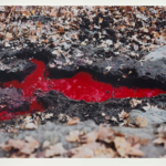 John Wilson's Artistic Testimony