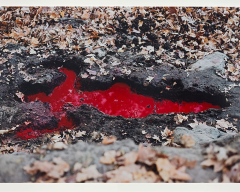 John Wilson's Artistic Testimony