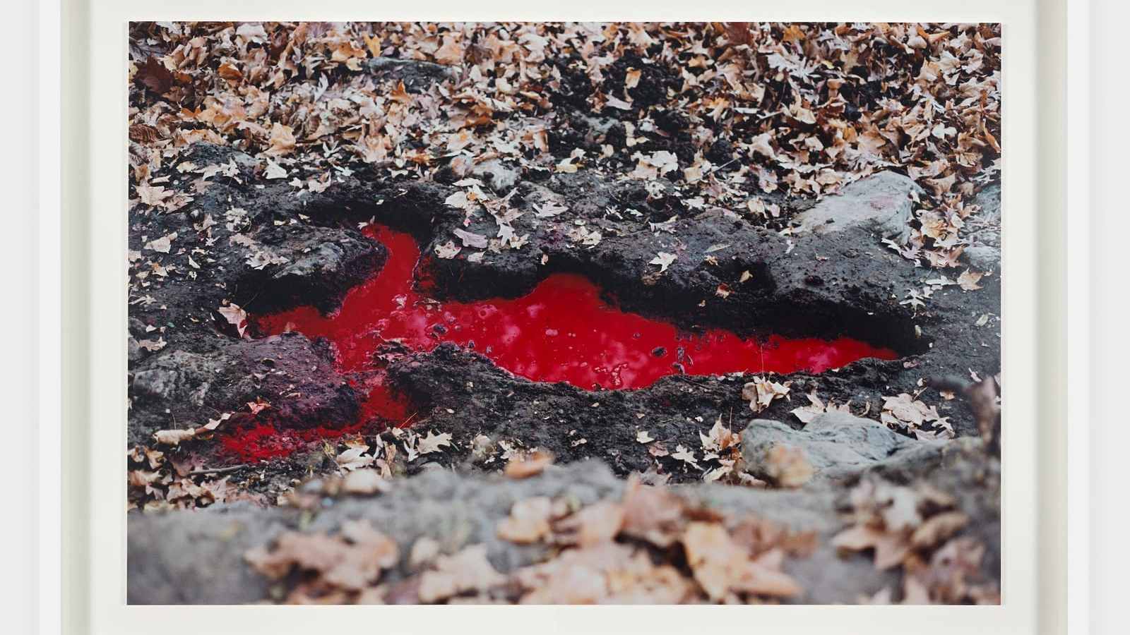 John Wilson's Artistic Testimony