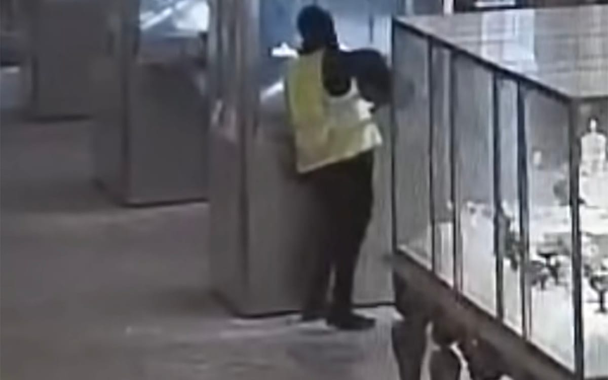 Newly Released Footage Reveals Daring Louvre Jewel Heist