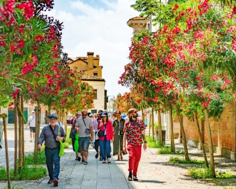 IDSVA Offers Global Residencies for Art Scholars in Venice, Marrakech, and NYC