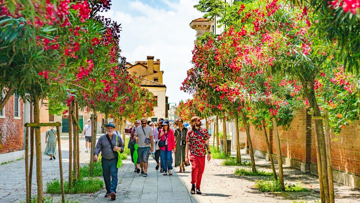 IDSVA Offers Global Residencies for Art Scholars in Venice, Marrakech, and NYC