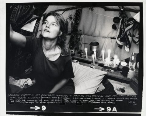 Susan Kleckner: A Retrospective on Her Revolutionary Art and Impact