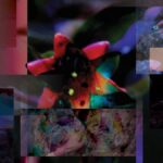 Artistic Exploration of Incarceration: Abbas and Abou-Rahme's U.S. Debut