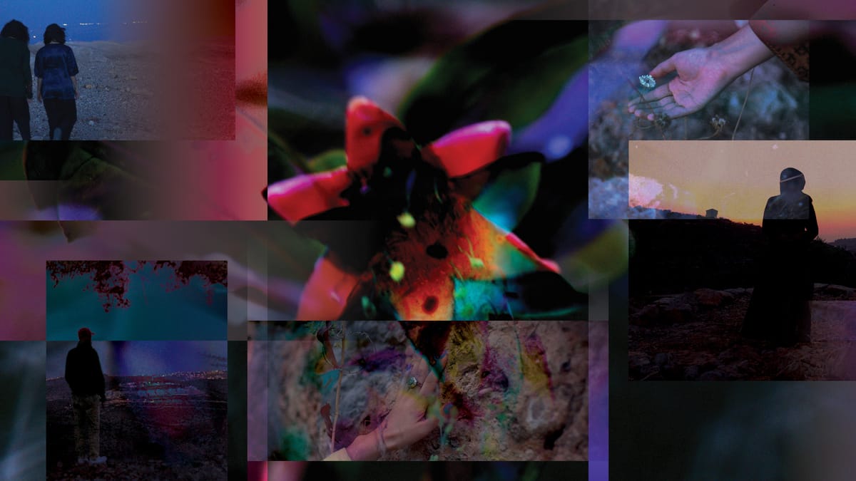 Artistic Exploration of Incarceration: Abbas and Abou-Rahme's U.S. Debut