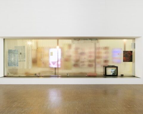 Theo Belci Explores Mimosa Echard's Unique Artistic Vision