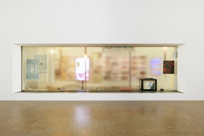 Theo Belci Explores Mimosa Echard's Unique Artistic Vision