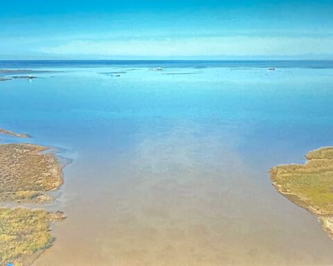 Deborah Jack's Poignant Sea Elegy at Denver's MCA