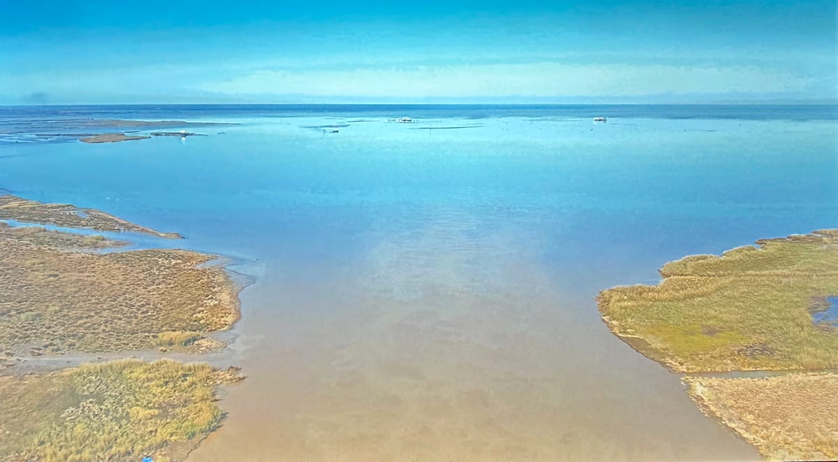 Deborah Jack's Poignant Sea Elegy at Denver's MCA