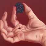 Navigating LA's Diverse Art Fair Scene This Frieze Week