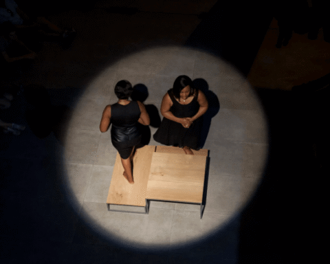 Uncertainty Looms Over South Africa's Venice Biennale Spot After Legal Defeat