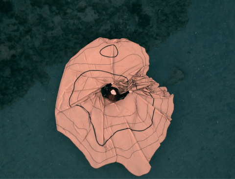 Anca Benera and Arnold Estéfan Chosen to Represent Romania at 2026 Venice Biennale