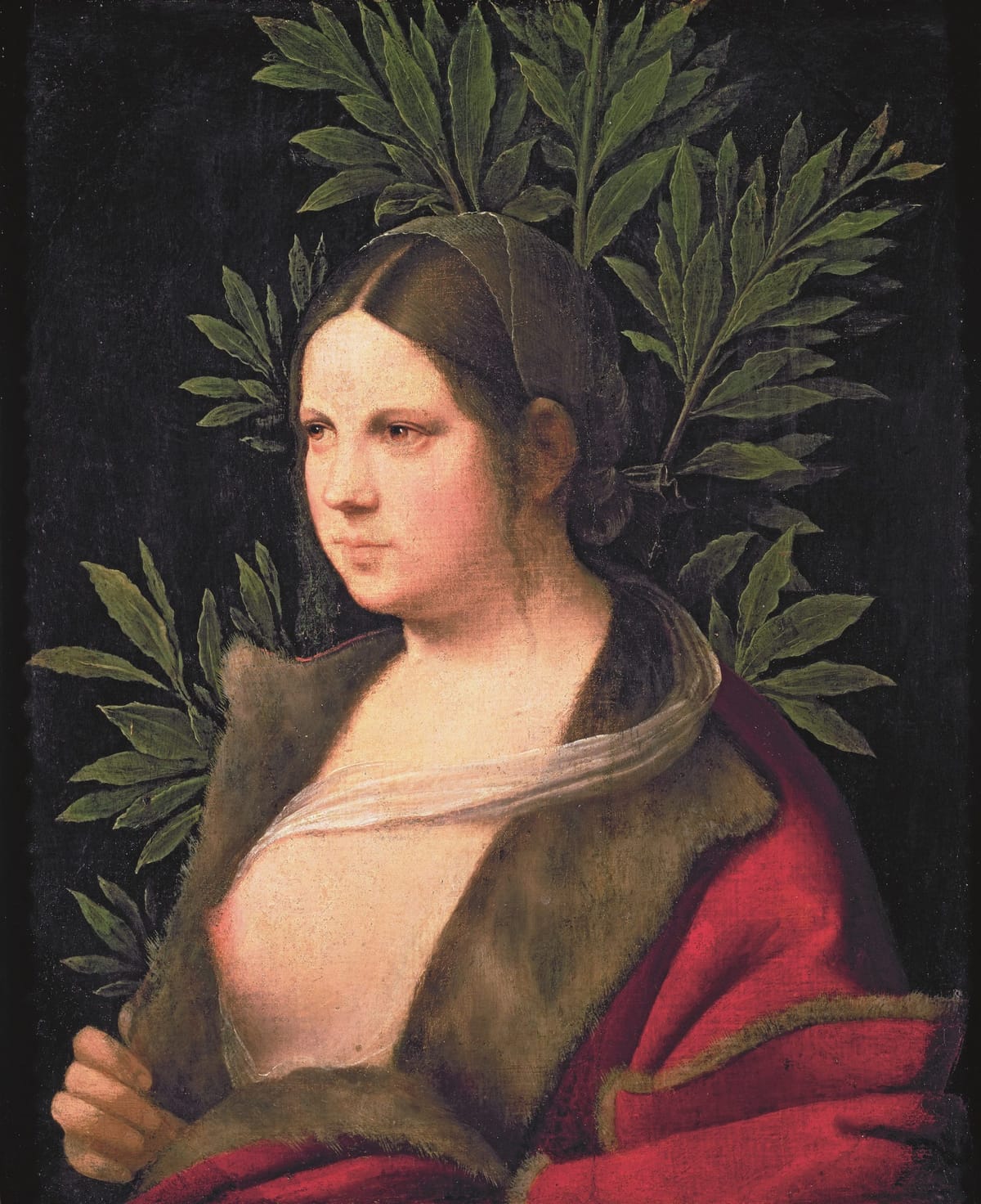 The Enigmatic Allure of Giorgione's Paintings: A Centuries-Old Mystery