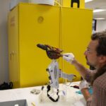 Museum Pesticide Use Challenges Cultural Repatriation Efforts