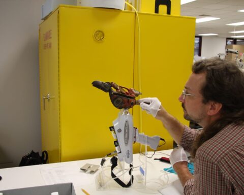 Museum Pesticide Use Challenges Cultural Repatriation Efforts