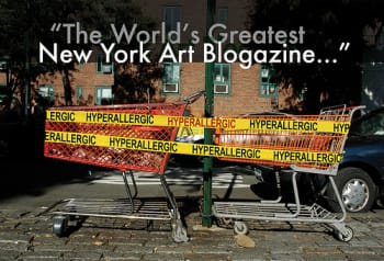 Introducing a New Voice in the Art World