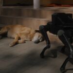 Roman Khimei and Yarema Malashchuk Discuss Their Madrid Exhibition