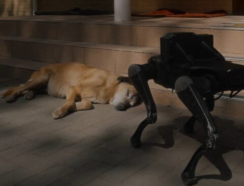 Roman Khimei and Yarema Malashchuk Discuss Their Madrid Exhibition