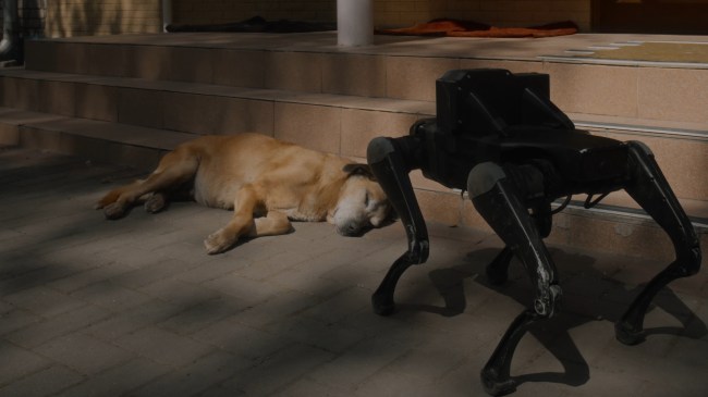 Roman Khimei and Yarema Malashchuk Discuss Their Madrid Exhibition