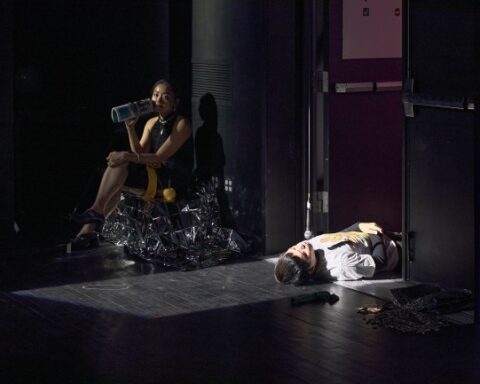 Vietnamese Performance Captivates at New York Venue