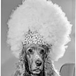 Bryan Barcena Showcases Foto Estudio Luisita's Legacy