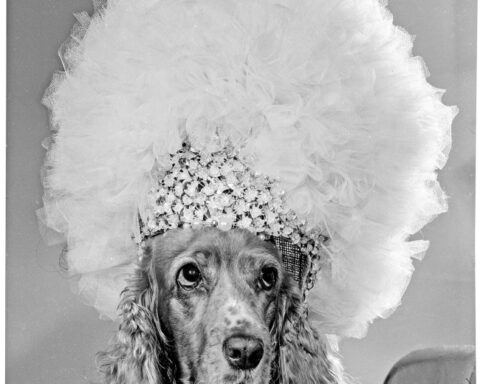 Bryan Barcena Showcases Foto Estudio Luisita's Legacy