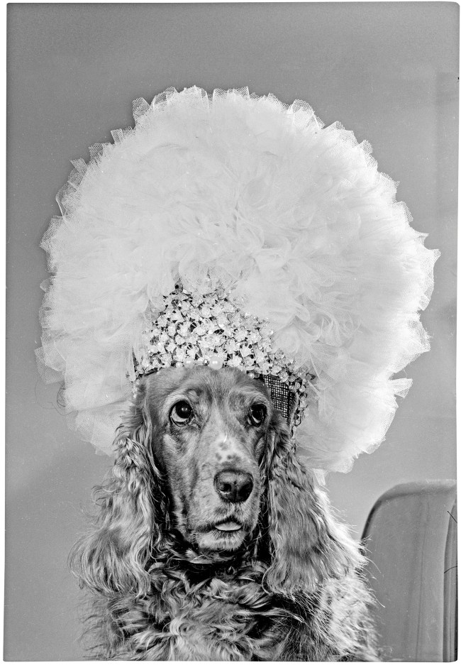 Bryan Barcena Showcases Foto Estudio Luisita's Legacy