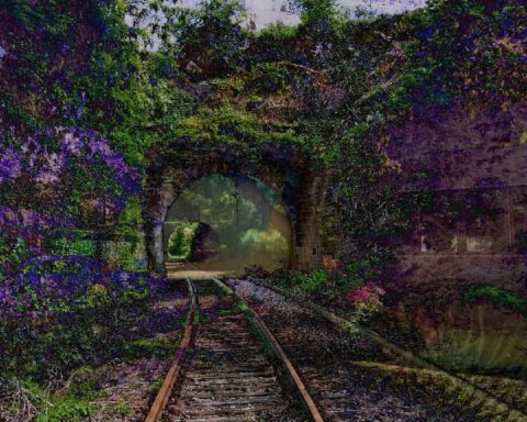 Supreme Court Rejects AI Art Copyright Appeal Yet Again