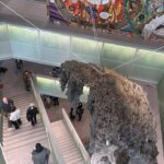 Dissecting the Revamped New Museum: What We Think