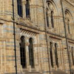 Criticism Arises Over UK Museums' Retention of Human Remains