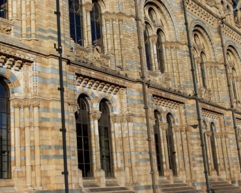 Criticism Arises Over UK Museums' Retention of Human Remains