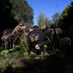 Ali Eyal's Artistic Testimony of War and Memory