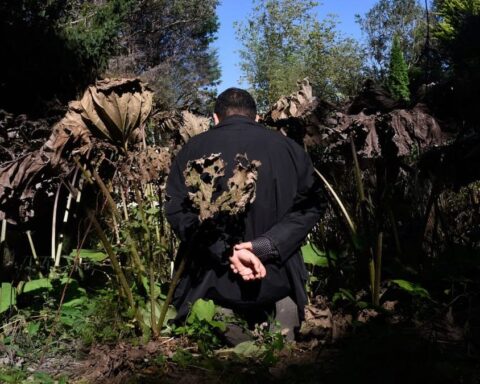 Ali Eyal's Enduring Conflict