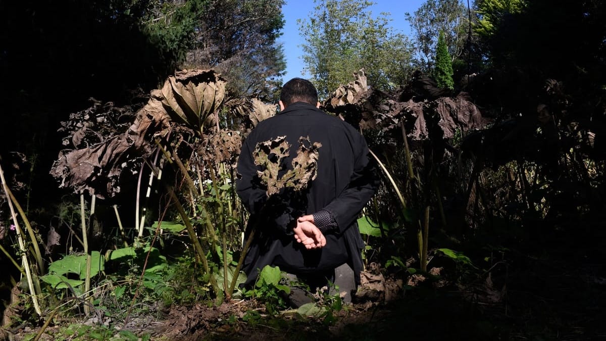 Ali Eyal's Enduring Conflict