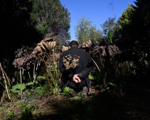 Ali Eyal's Artistic Testimony of War and Memory